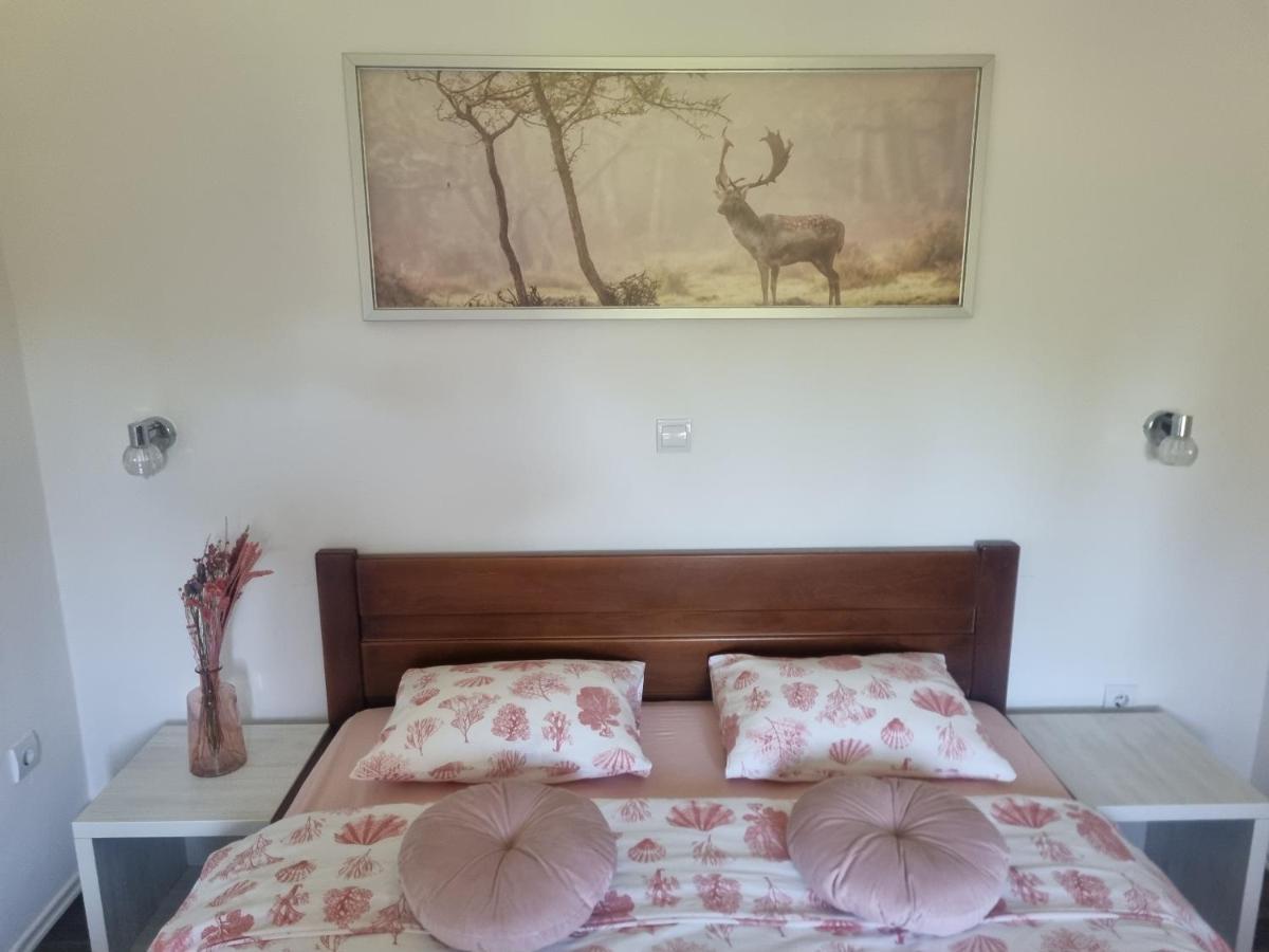 4 Seasons Guest House Rakovica Luaran gambar